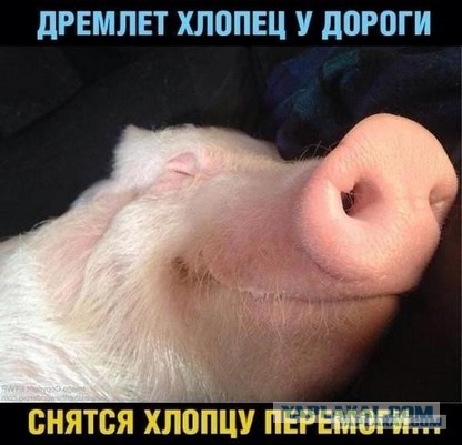 Минобороны опровергло заявление о потерях морпехов.