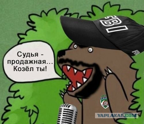 Спорт с улыбкой, интересности в сети