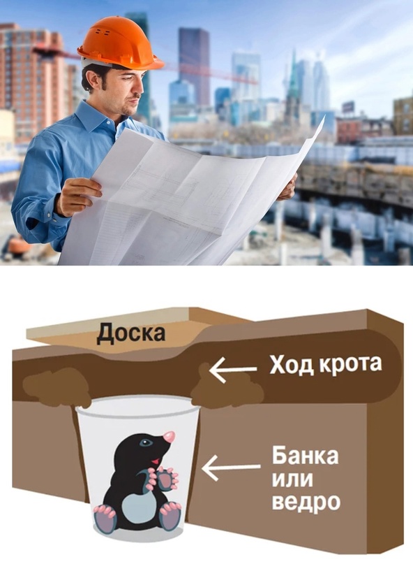 Картинки и мемы, всем хороших выходных