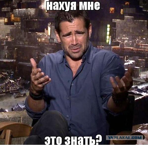 За шмот поясни!?