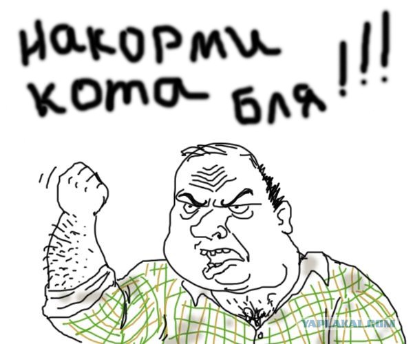 Обострение у котэ )))