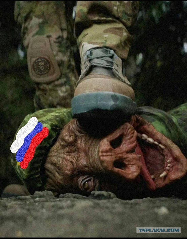 Вкалывают роботы