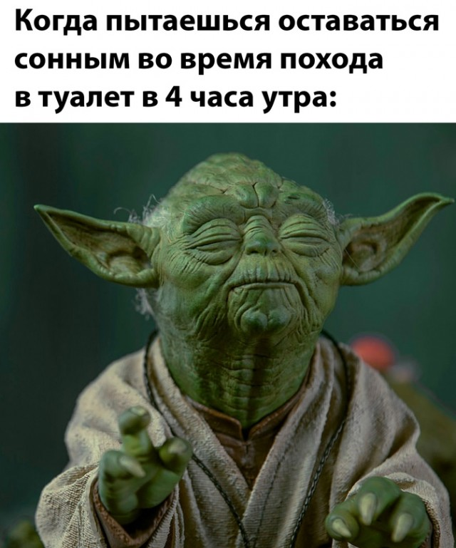 Весёлый полтишок 08.07.23