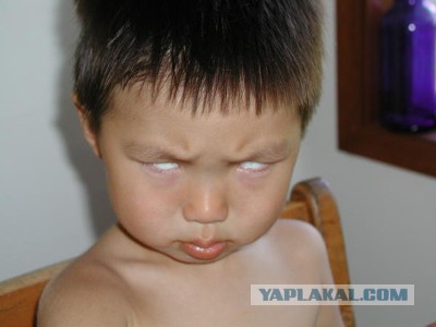 Грозненский фанат ФК "Терек"