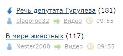 Речь депутата Гурулева