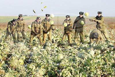 Советская армия в «битвах за урожай»