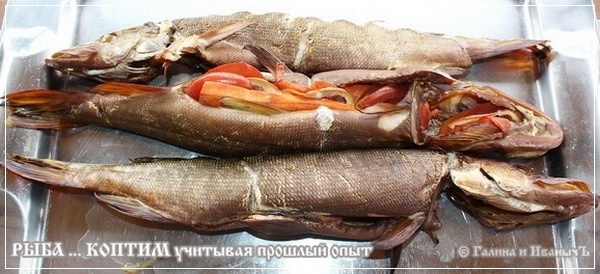Рыба ... коптим ...