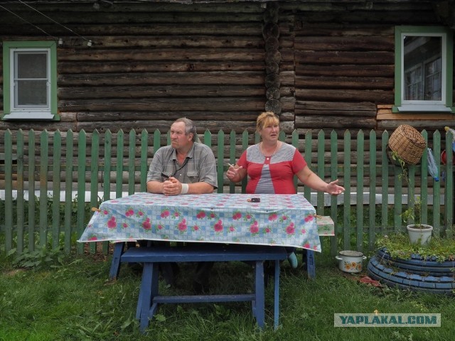 Эх, люблю я Петросяна.