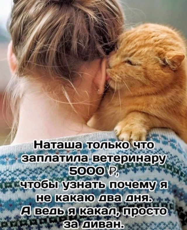 Веселые картинки к пятнице (08.11)