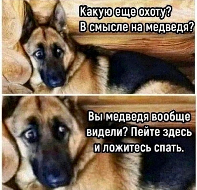 Давай, кусь кусь