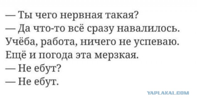 Какие мужчины в приоритете у женщин за 40, два типа