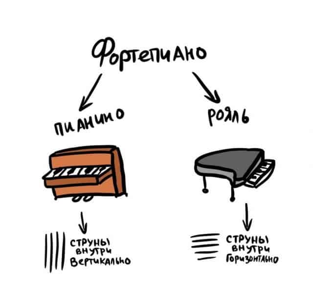 Иногда это мы путаем