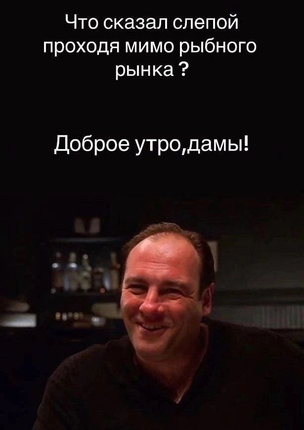 Весёлый полтишок 06.06.25
