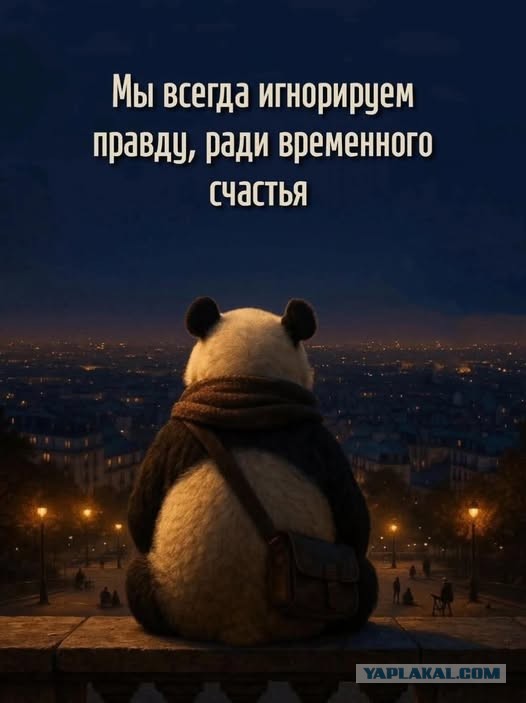 Воскресные картинки