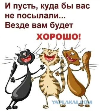Не смог удержаться