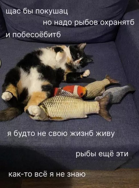 Котямбосы