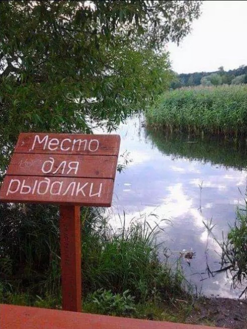 Картинки для деградации 169 (разной степени свежести)