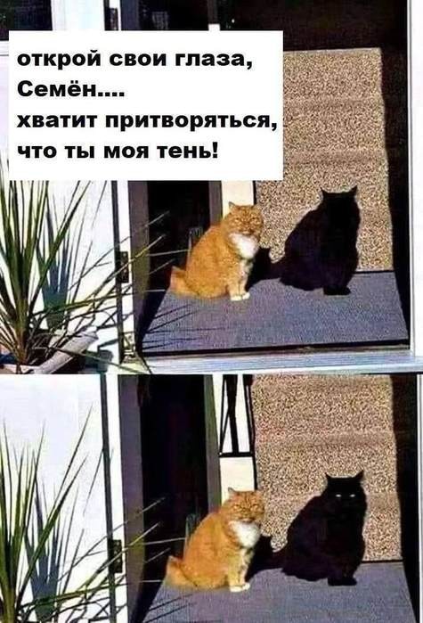 Картинки для деградации 183 (разной степени свежести)
