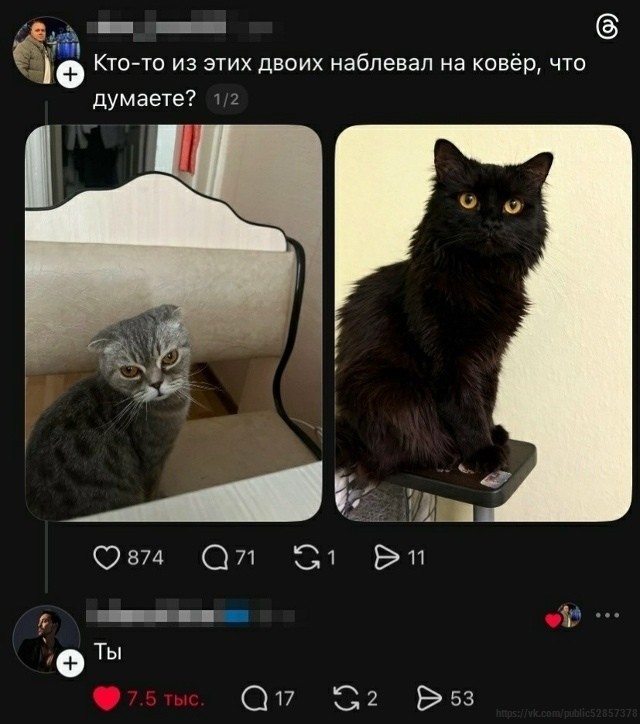 Картинки для улыбки