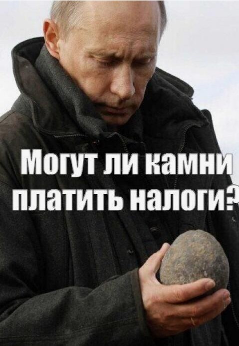 Нашествие мошек в Астрахани