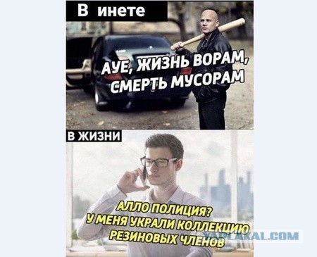 Подмосковные дачники вышли на тропу войны против эндуристов
