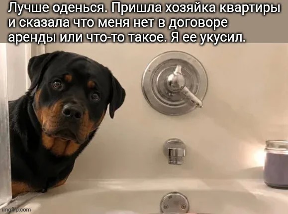 Картинки для деградации 261 (разной степени свежести)