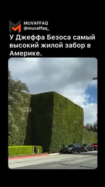 Валить, так наглухо