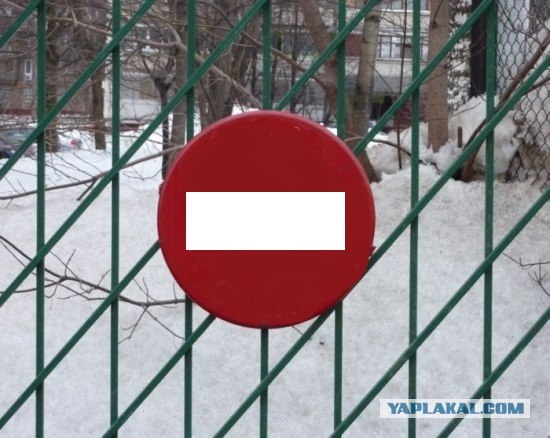 Осторожно! Смешная собака