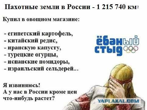 Российские продукты