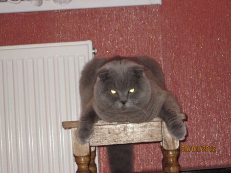 Ужастик.
