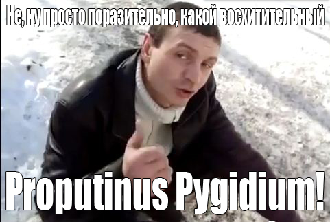 Украинские приколы.