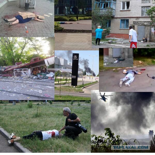 Бесславные ублюдки...