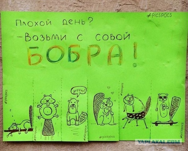 Добряки, плюсующие всех подряд