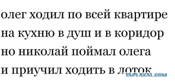 Небольшая подбока пикчей