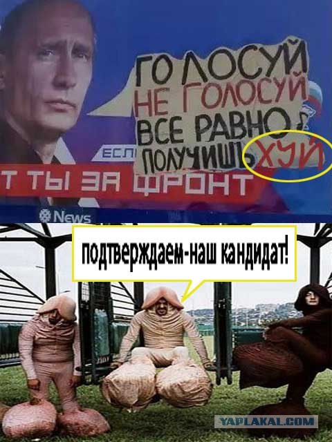 Голосуй, не голосуй