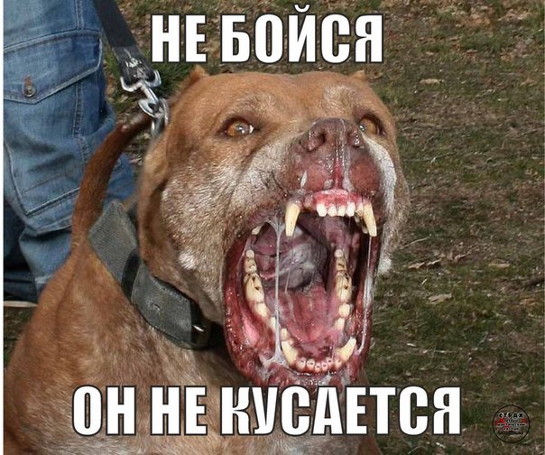 "Комментарии из соцсетей" от 12.10.2014