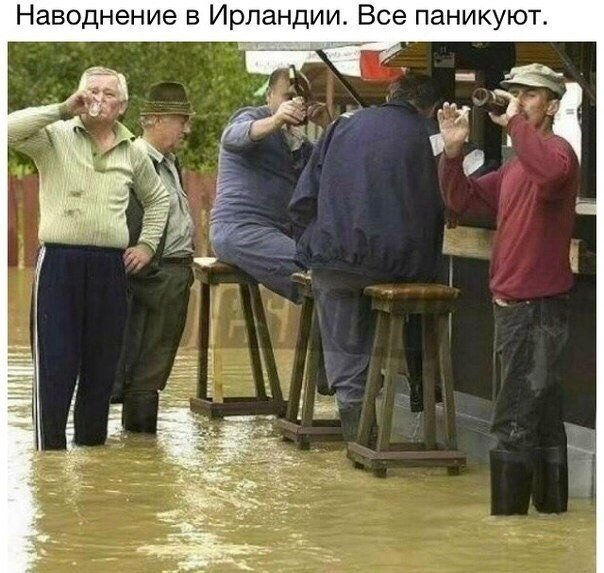 Весёлое из сети