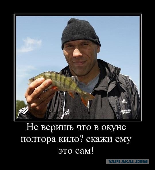 Весёлое из сети