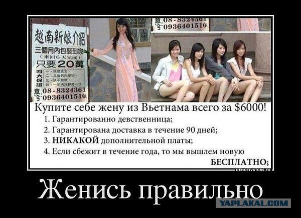 Забавные картинки из интернетов