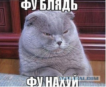 Бомбейские протистутки