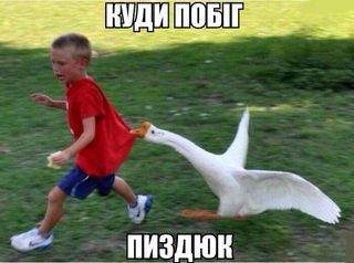Перемирие кончилось, едва начавшись. Часть 12