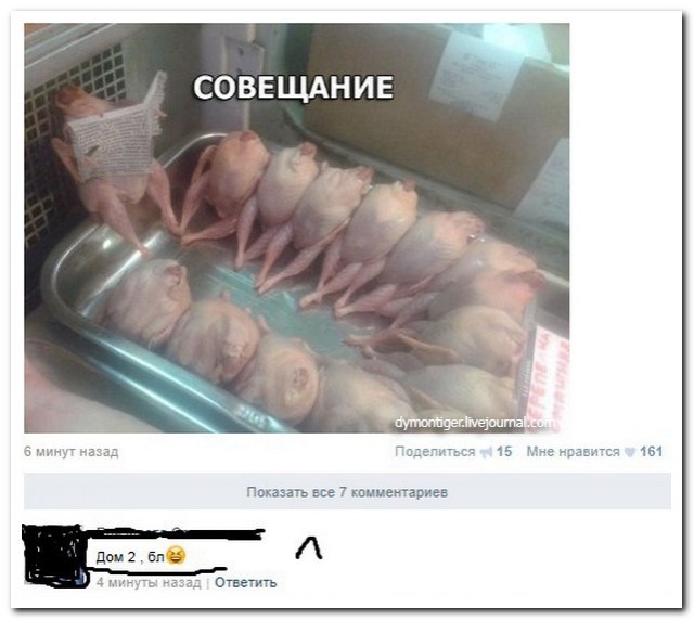Подборка баянов.