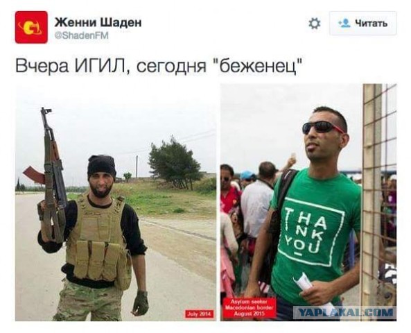 Новости из Будапешта
