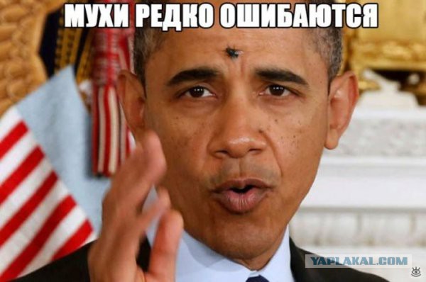 10 политических картинок