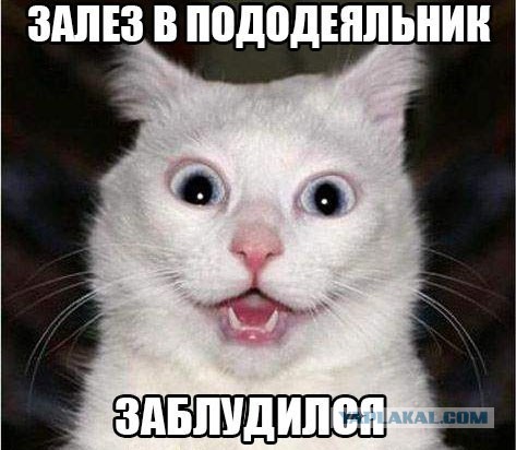 Веселые картинки