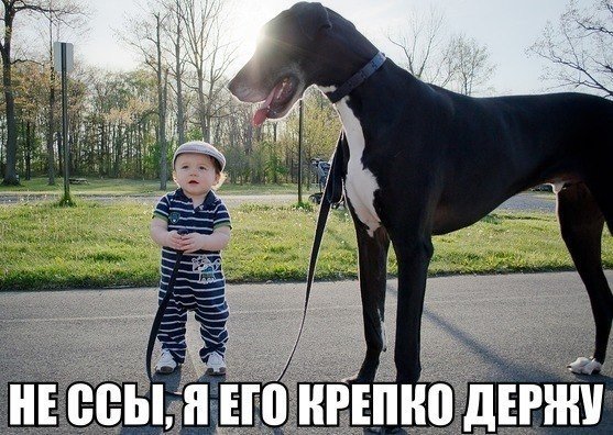 Фотоприколы