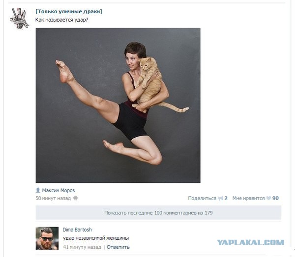 Подборка картинок
