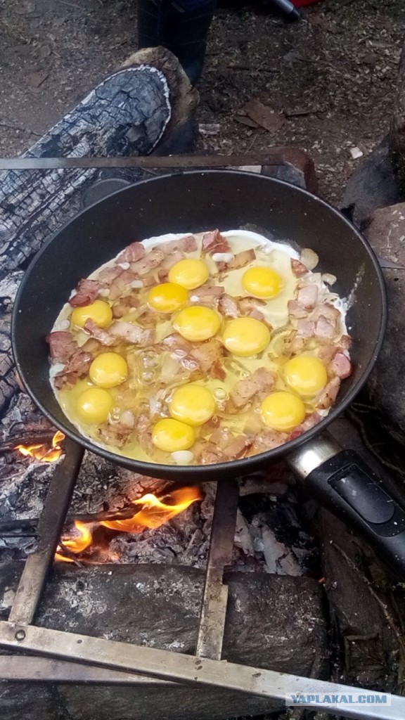 Две недели впечатлений.