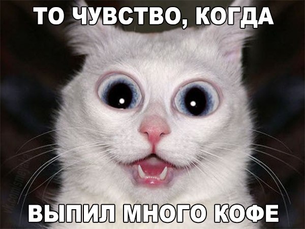 Картинки и демотиваторы