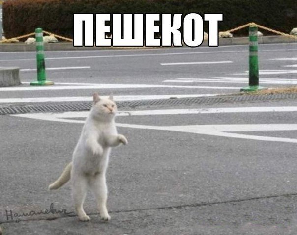 Абсурдный юмор ч.2